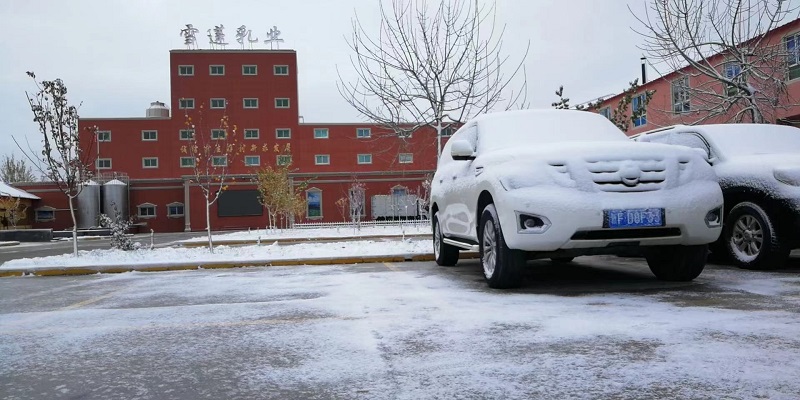 工廠雪景
