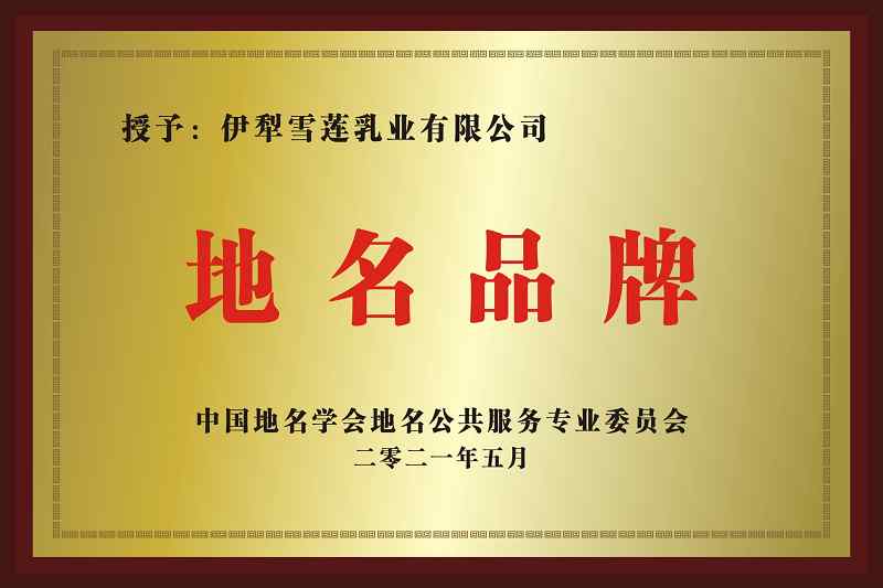 地名品牌